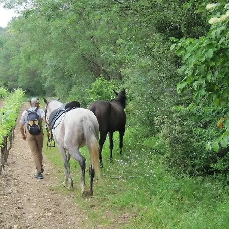 La Bergerie Сasa de vacaciones Caux