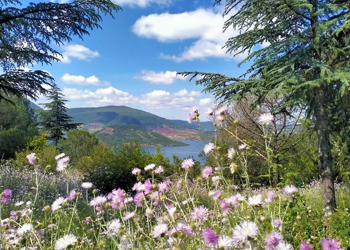 La Bergerie
